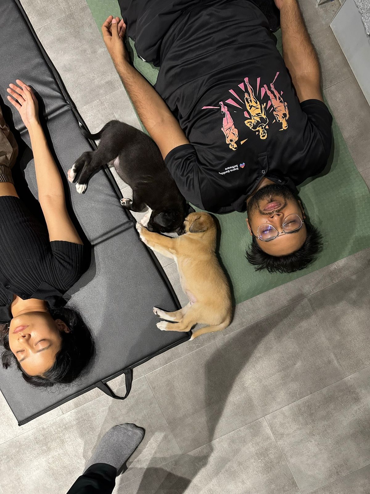 Experience pet yoga at Delhi based yoga studio Paws and Poses