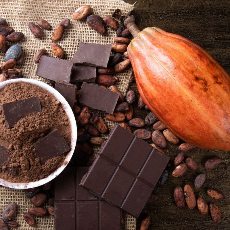 4 proven health benefits of consuming chocolate