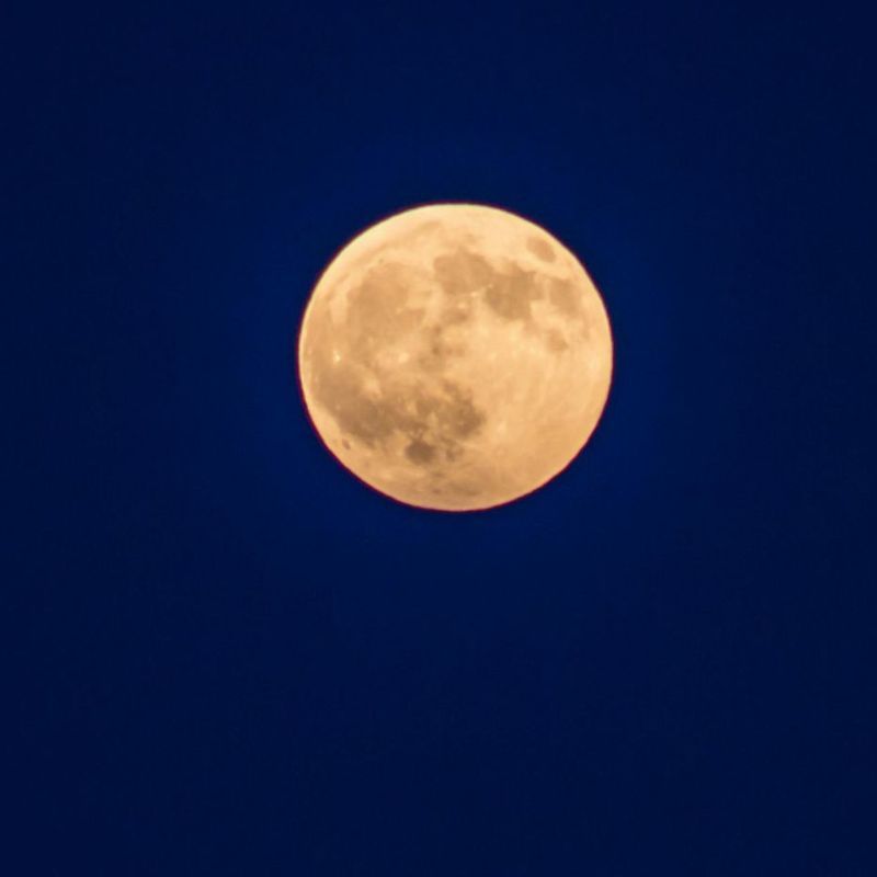 Full Buck Moon in July 2024: Zodiacs, it is time to let go of your inhibitions!