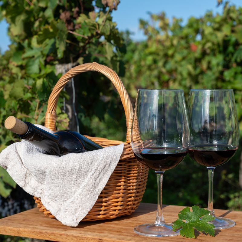 Vineyards in and around Bangalore with wine experiences for a ‘grape’ weekend