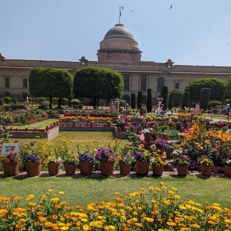 Witness spectacular flower exhibit at Rashtrapati Bhavan’s Amrit Udyan this monsoon