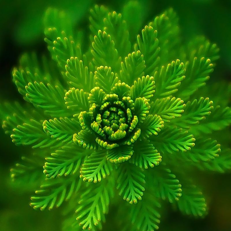 Discover your lucky colour for Wednesday, according to your zodiac sign