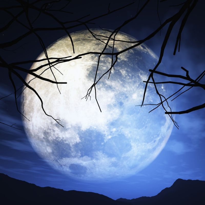September Harvest Moon: Zodiac signs will dream big during this supermoon