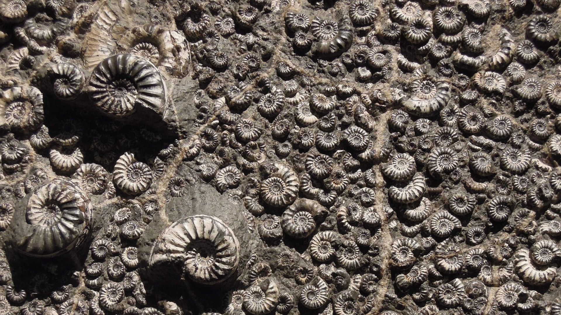 Lucky colour for Saturday, according to your zodiac Lifestyle Asia India