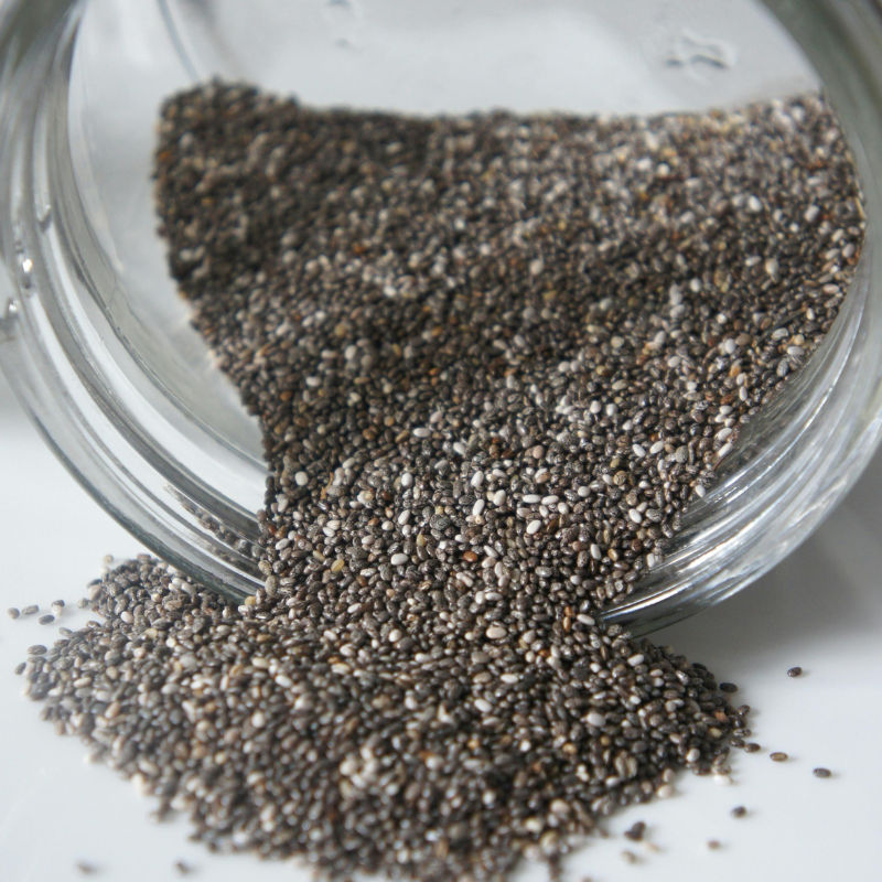 Chia seeds vs Sabja seeds: Which super seed reigns supreme?