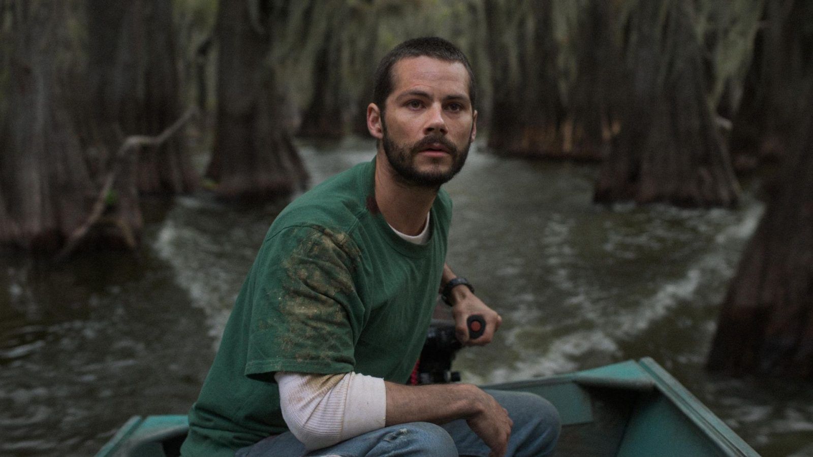 Caddo Lake true story Exploring the haunted history and legends