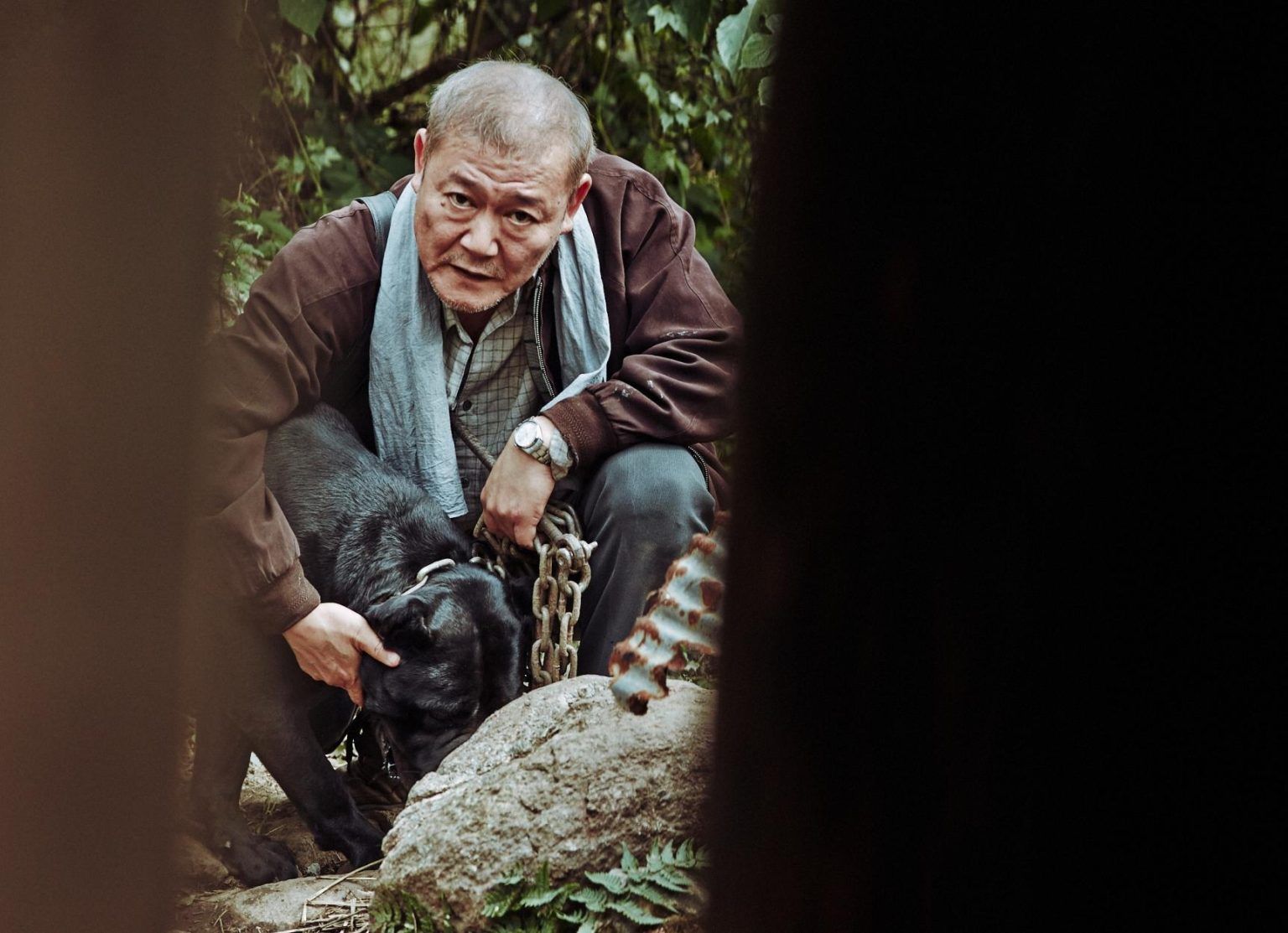 Top 10 horror movies to watch on Prime Video for Halloween 2024