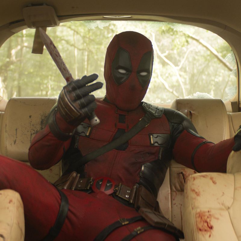 Your guide to best binge-worthy releases on OTT and in theatres from 11 to 17 November