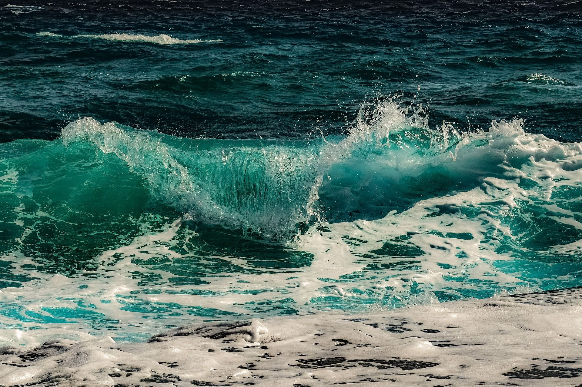 sea geeen