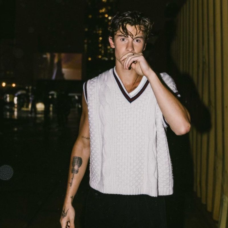 Shawn Mendes dating history