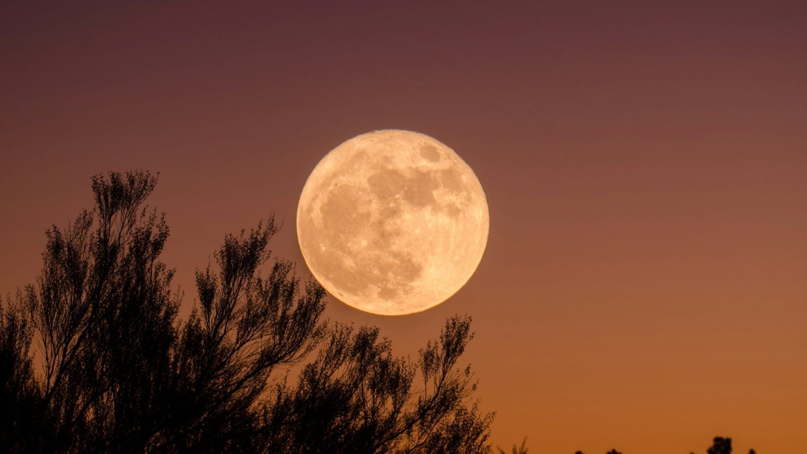 Full Moons Of 2025 And Their Effects On Zodiacs Lifestyle Asia India full-moons-of-2025-and-their-effects-on-zodiacs-lifestyle-asia-india