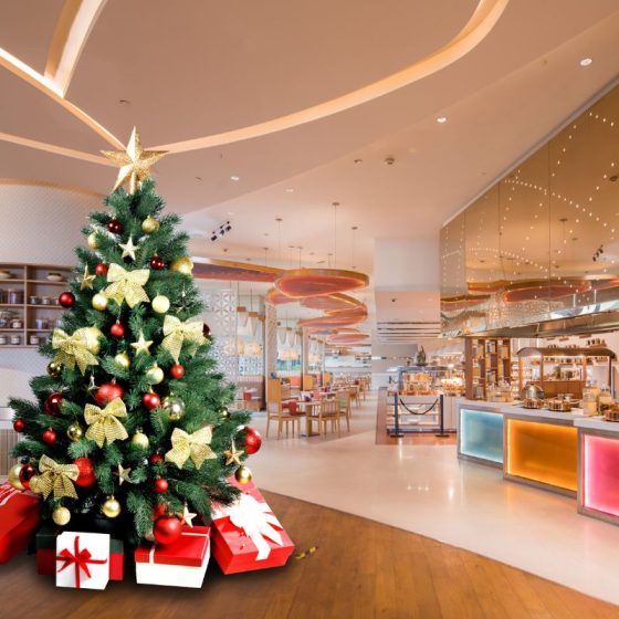 Pullman, New Delhi Aerocity