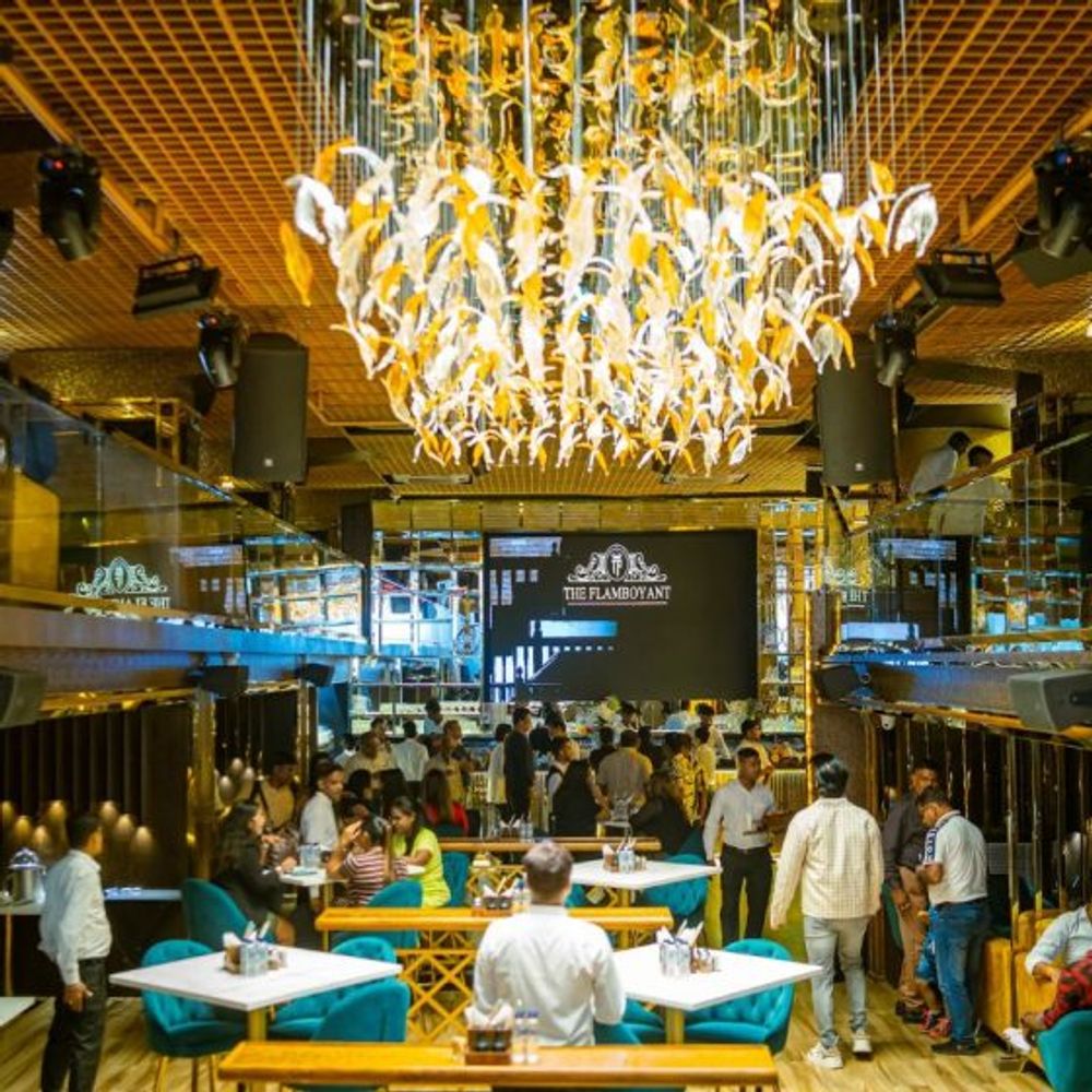 Top New Year parties in Kolkata in 2025: Best venues and events