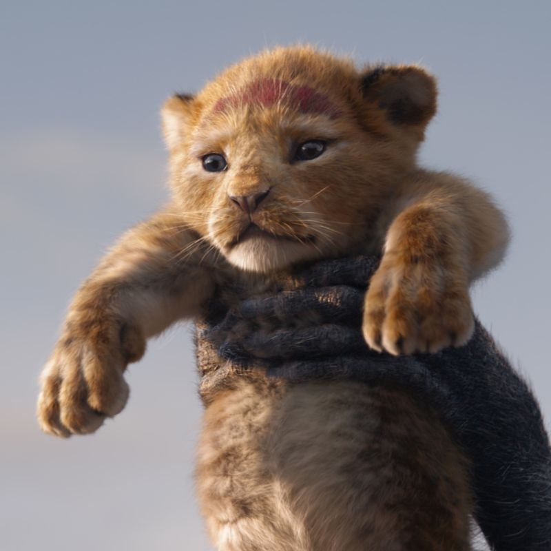 All The Lion King movies in chronological order Lifestyle Asia India