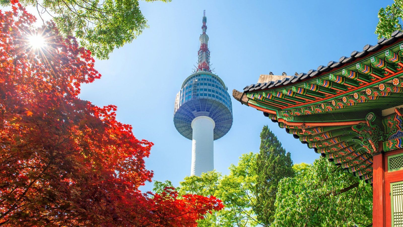 Solo Travel in 2025 Best places to visit