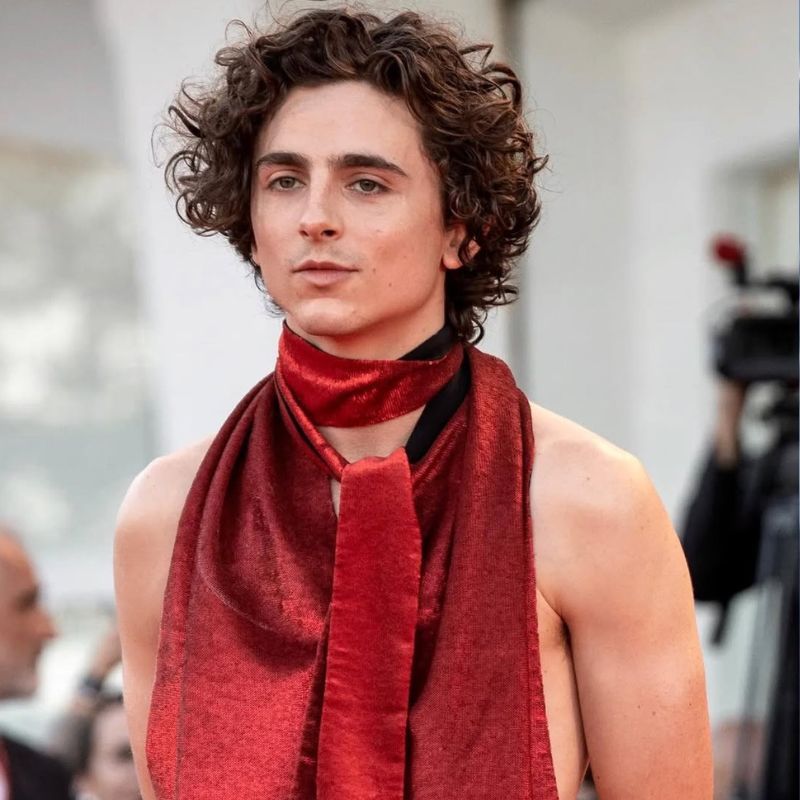 Timothée Chalamet dating history and past relationships | LSA India