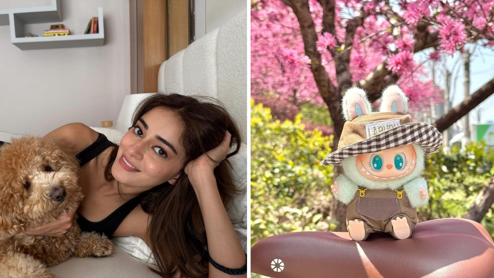 Labubu Doll Where To Buy This Plushie Toy In India Lifestyle Asia India Labubu Doll In India 1600x900 