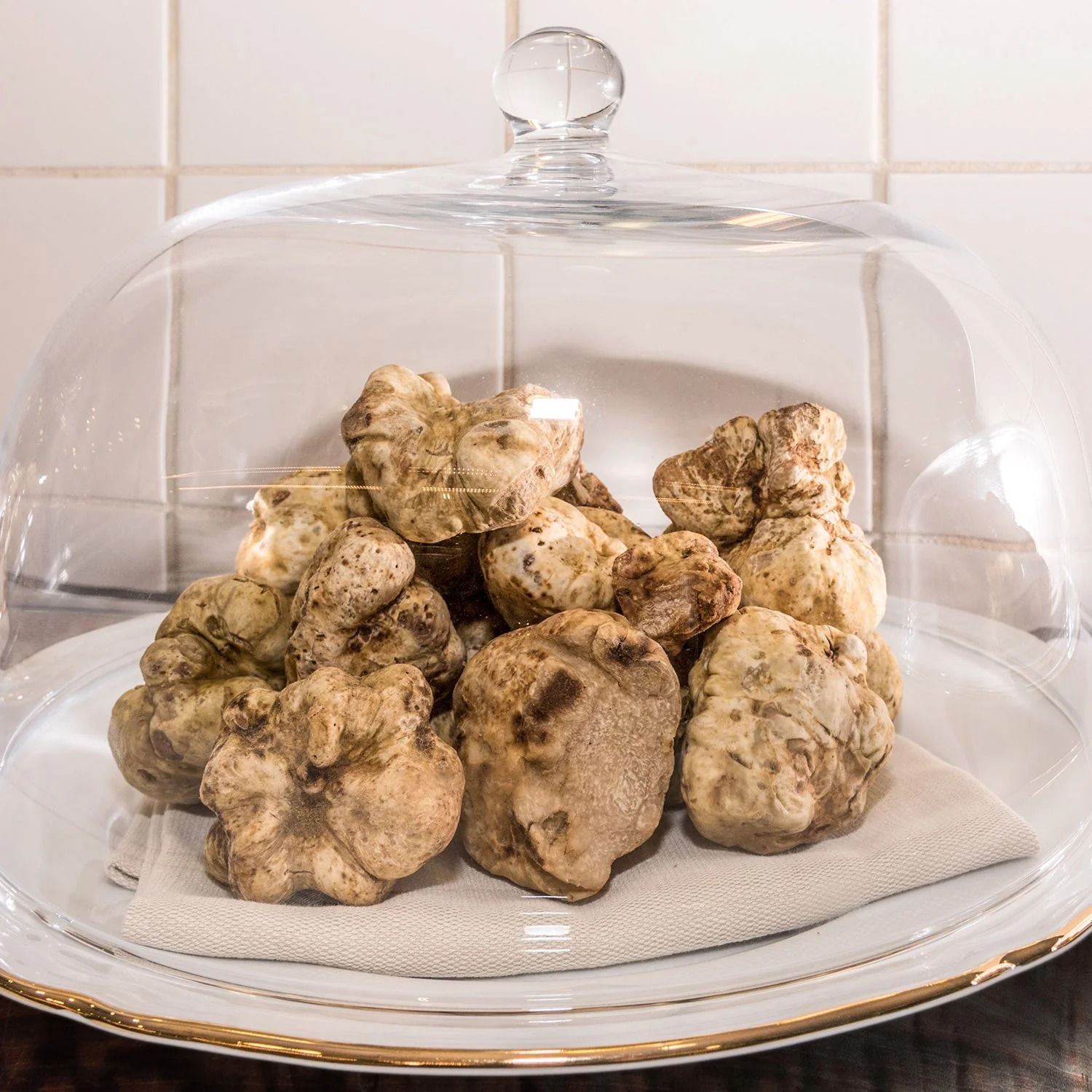 The most expensive mushrooms in the world | LSA IND
