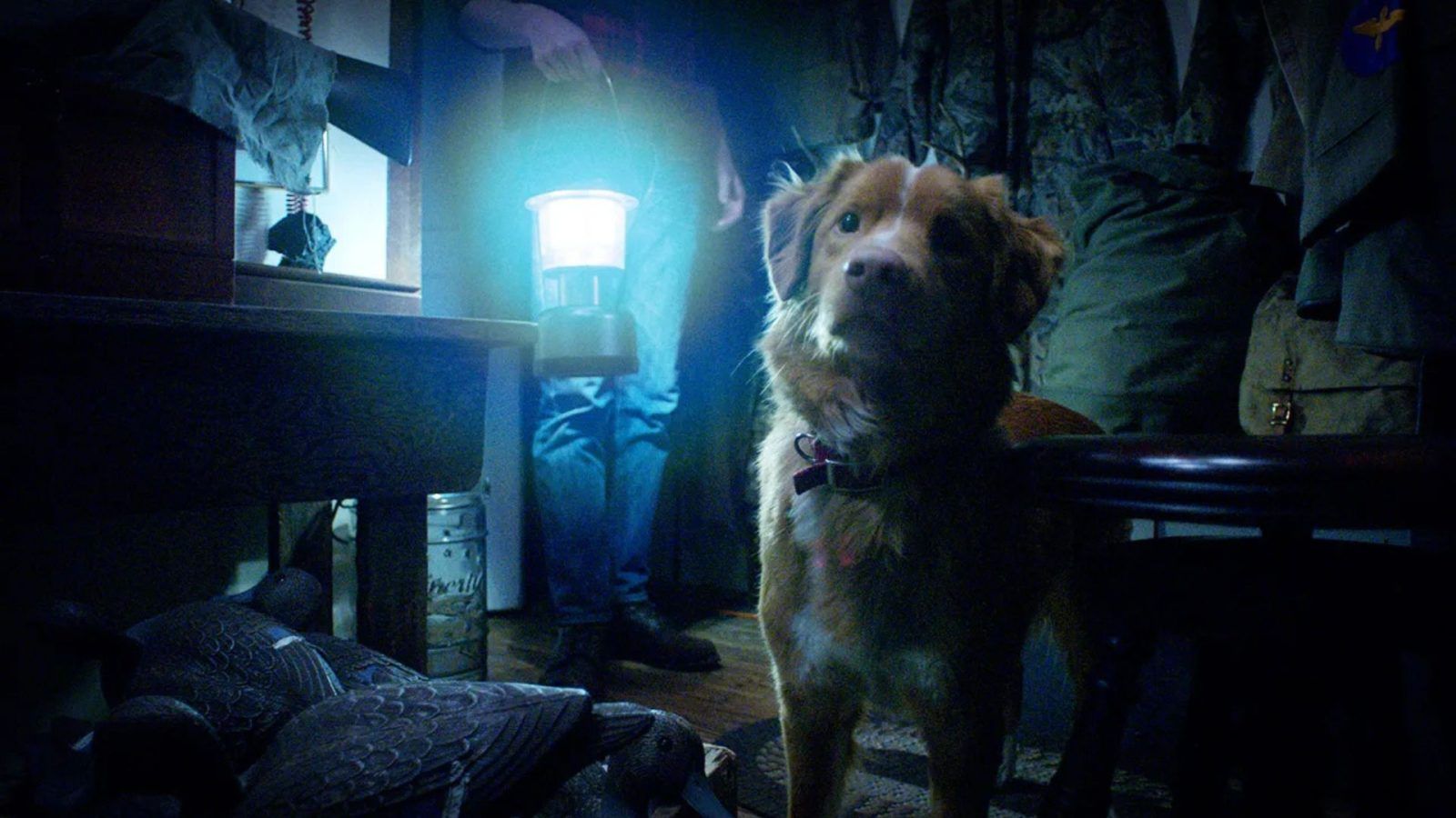 Good Boy' horror movie ending explained: Who really is that dark figure?