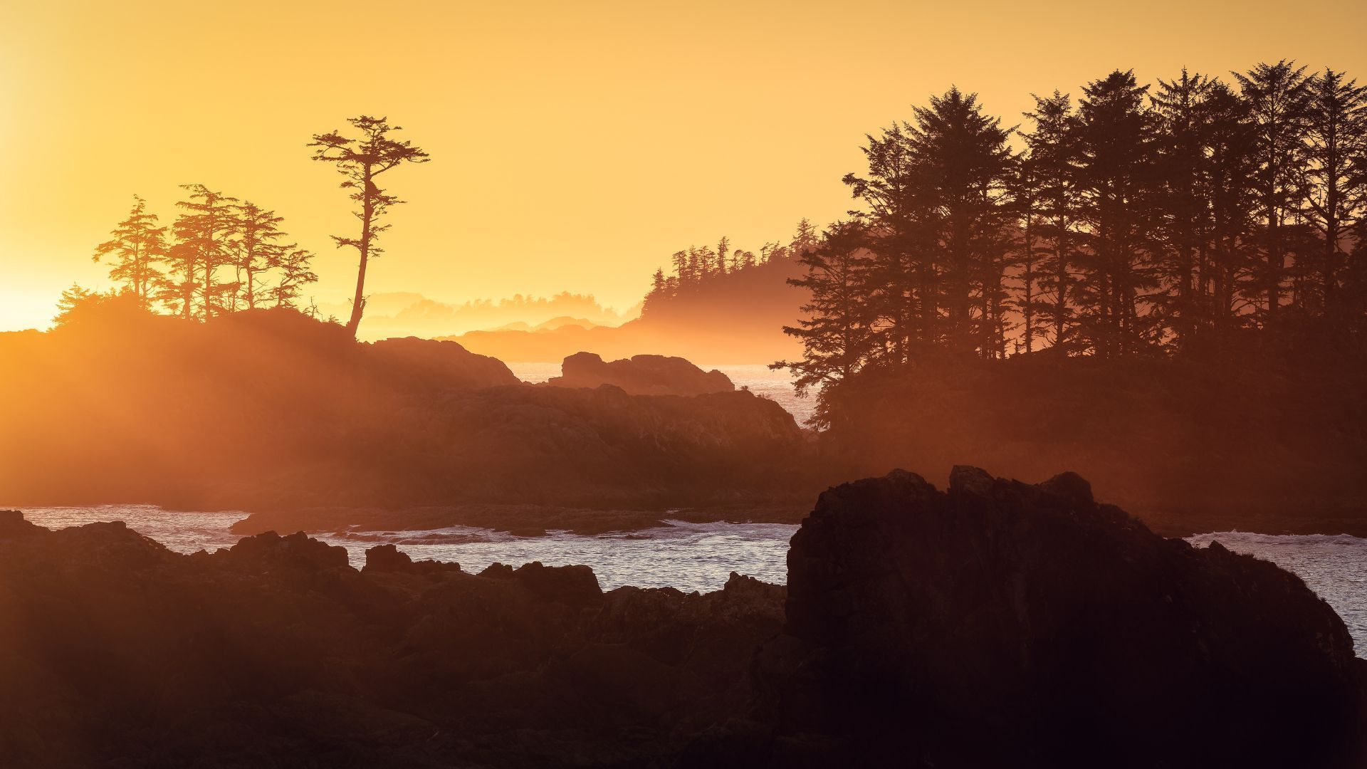 We turned to Reddit for the best crowd-less summer spots | LSA IND