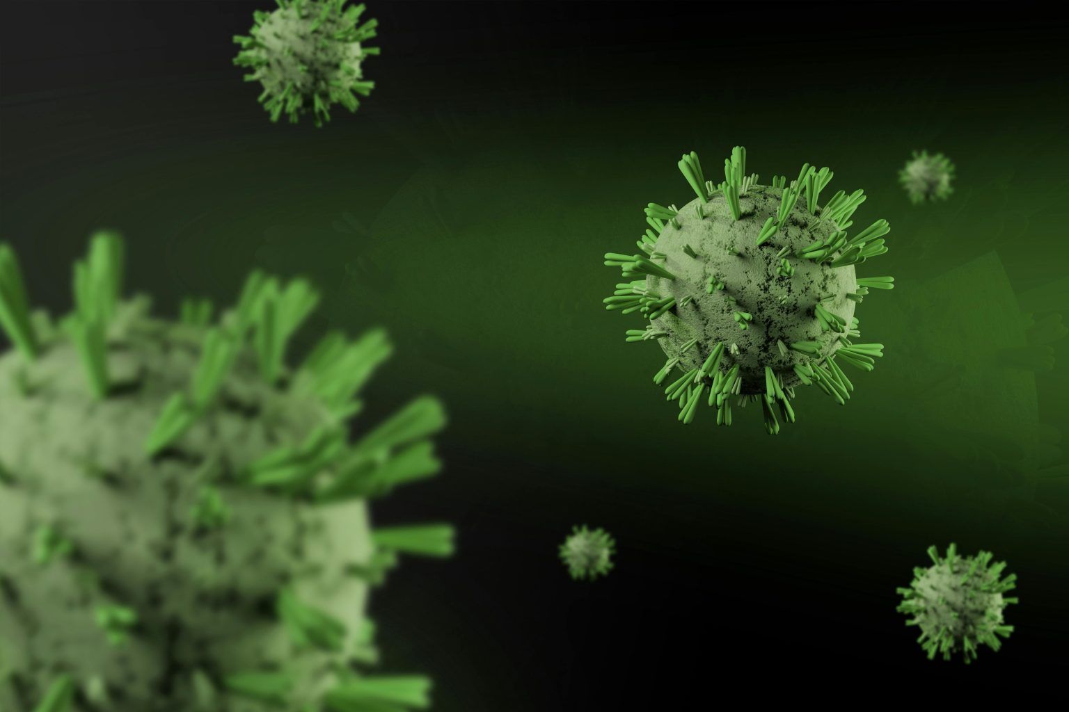 Hantavirus symptoms and precautions to take: How to keep yourself safe