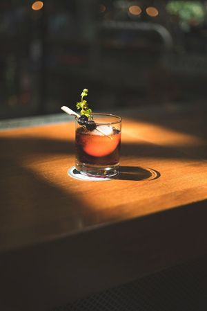 Absinthe: A spirited guide to the 'green fairy' of all liquors