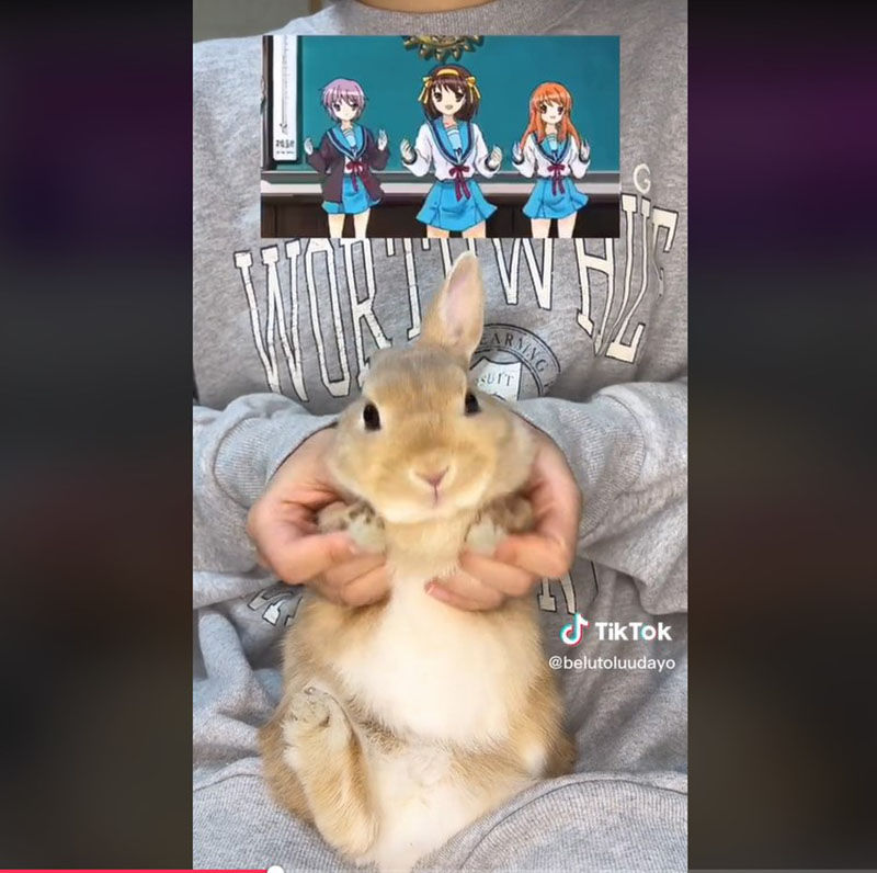 AnimedanceChallenge เทรนด์ Tiktok และ IG ที่กำลังมาแรงในญี่ปุ่น