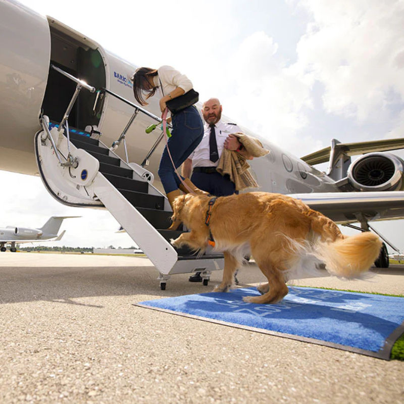 เหล่าเจ้านายและทาส ขึ้นบินหรูหรา หมาเห่า! แบบ First Class ตั๋วสองแสน! กับสายการบิน BARK Air