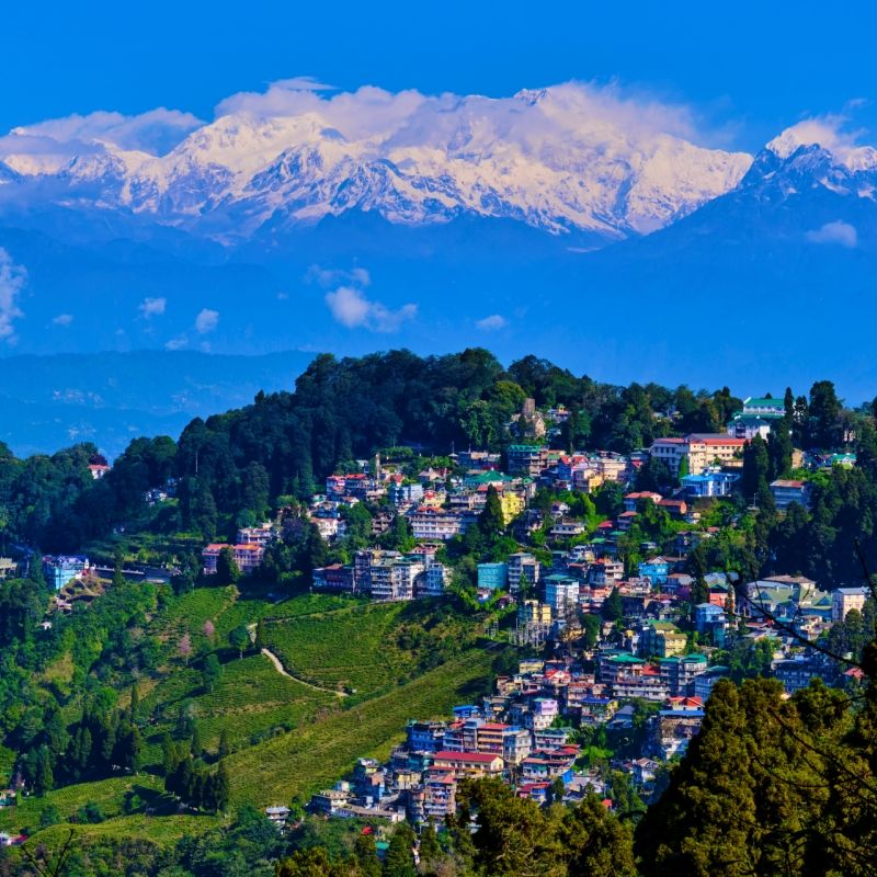 ทำความรู้จัก พร้อมปักหมุดที่ เที่ยวดาร์จีลิง Darjeeling มนต์เสน่ห์ของไร่ชากลางเทือกเขาหิมาลัย