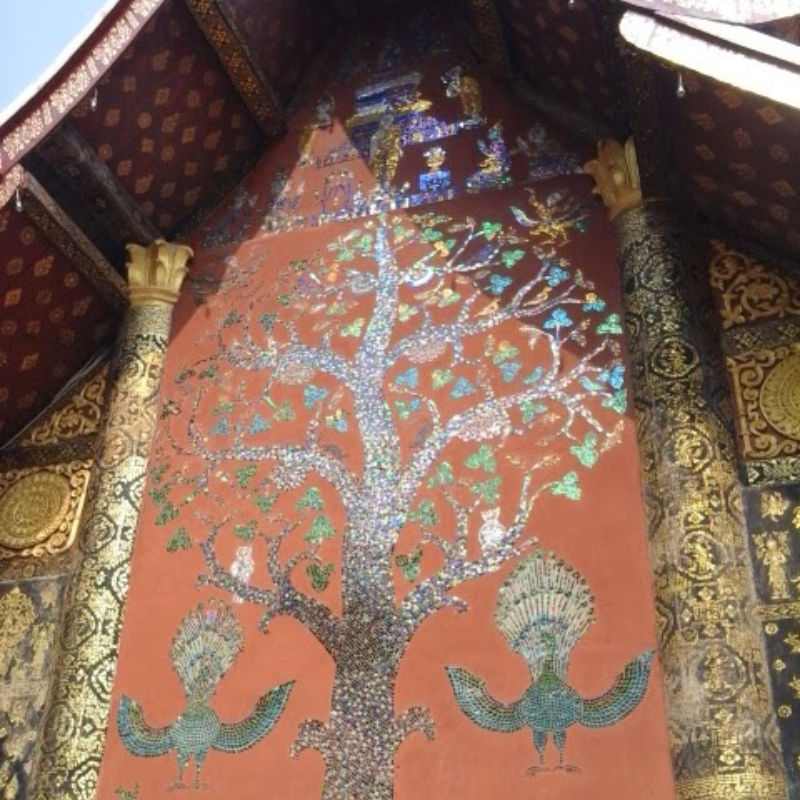 รีวิว เที่ยวลาว ทริปหลวงพระบาง 3 วัน 2 คืน แบบไม่นั่งเครื่องบิน ไปยังไง สนุกกว่าแค่ไหน ?